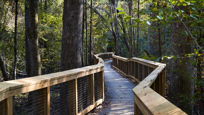 Guided hikes through Congaree National Park will take place throughout the day of August 21.