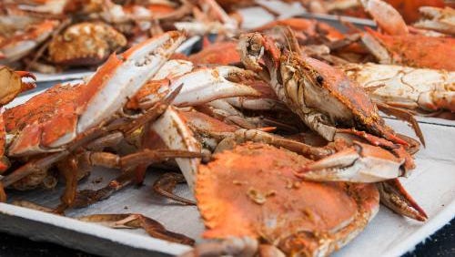In Maryland, the Chesapeake Crab & Beer Festival takes place at Baltimore's National Harbor on August 19.