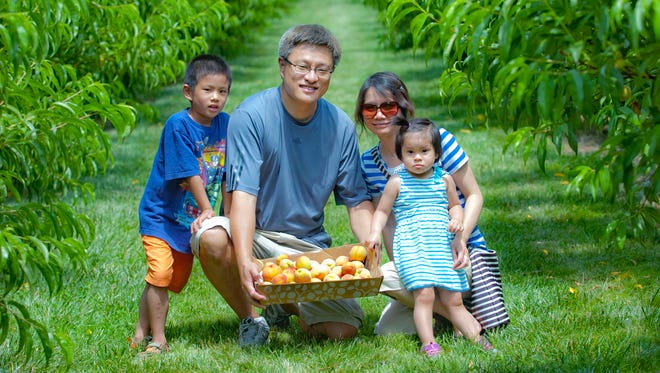 In Pennsylvania, Linvilla Orchards hosts its annual Peach Festival in Media, just outside of Philadelphia, August 12. Families can pick their own peaches at the prime time, and enjoy a variety of activities for kids.