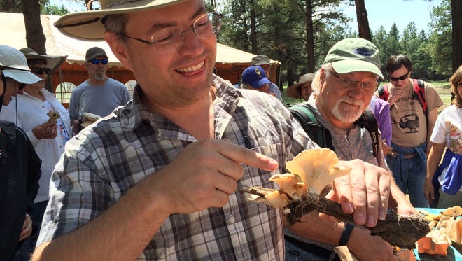 In Arizona, The Arboretum at Flagstaff hosts its Mushroom Festival, August 18-19, with samples and guided identification and gathering.